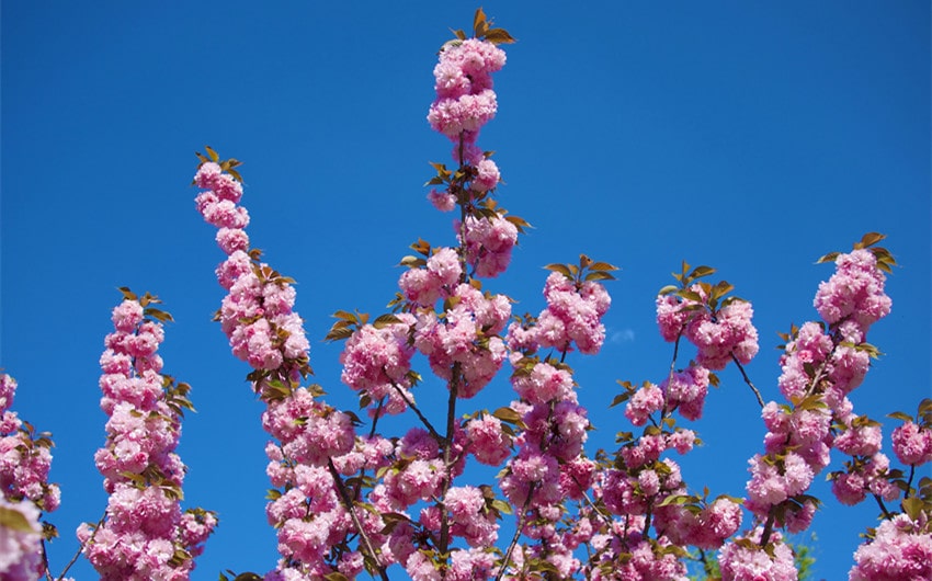 Lesser Known Attractions Near Kyoto Station