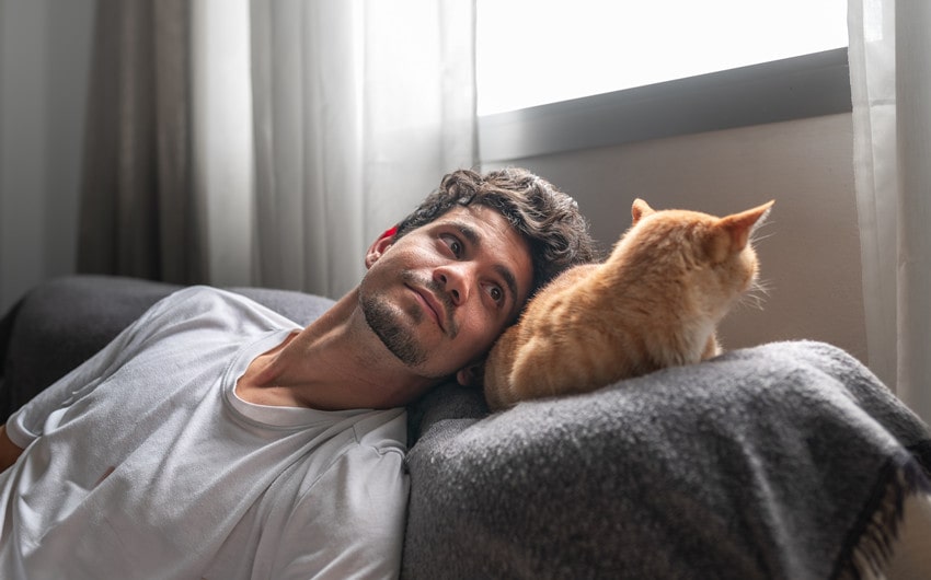 cats improve mental health