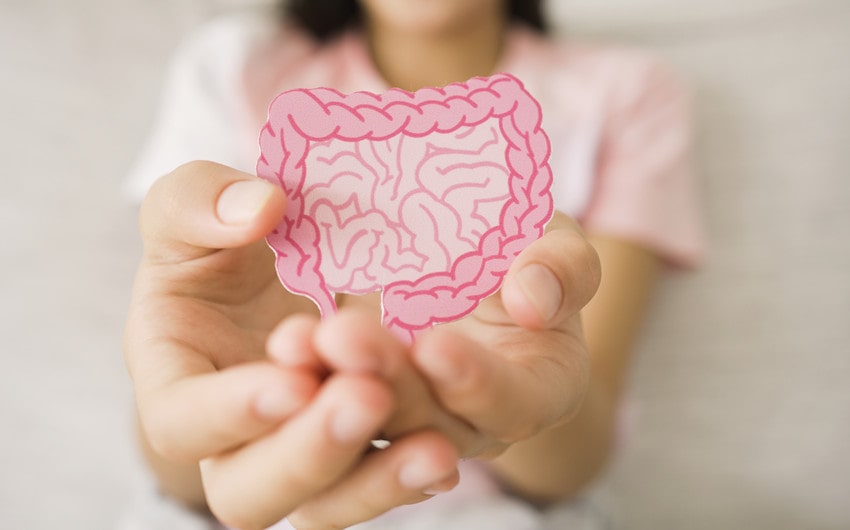 Gut Microbiome Influences the Brain